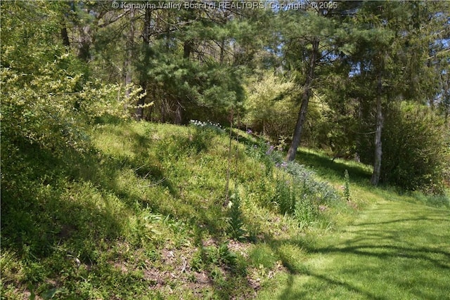 6 Coast Run Rd, Sandyville, WV 25275 - view of tree filled area