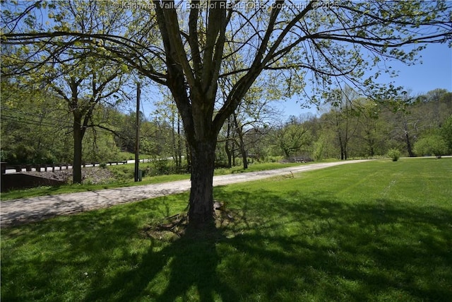 6 Coast Run Rd, Sandyville, WV 25275 - view of home's community featuring a lawn