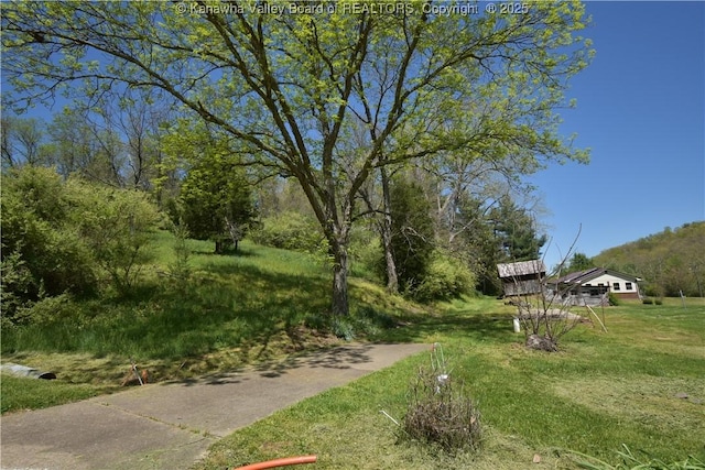 6 Coast Run Rd, Sandyville, WV 25275 - view of green lawn