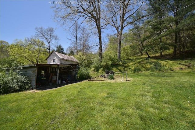 6 Coast Run Rd, Sandyville, WV 25275 - view of green lawn
