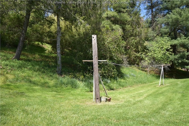 6 Coast Run Rd, Sandyville, WV 25275 - view of grassy yard