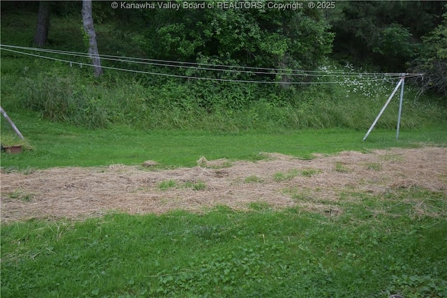 6 Coast Run Rd, Sandyville, WV 25275 - view of yard