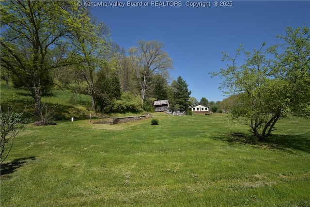 6 Coast Run Rd, Sandyville, WV 25275 - view of green lawn