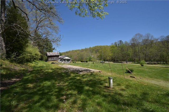 6 Coast Run Rd, Sandyville, WV 25275 - view of grassy yard with a forest view