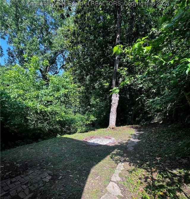 160 Davis St, Huntington, WV 25705 - view of yard