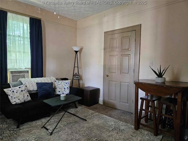 160 Davis St, Huntington, WV 25705 - living area featuring carpet and a textured ceiling