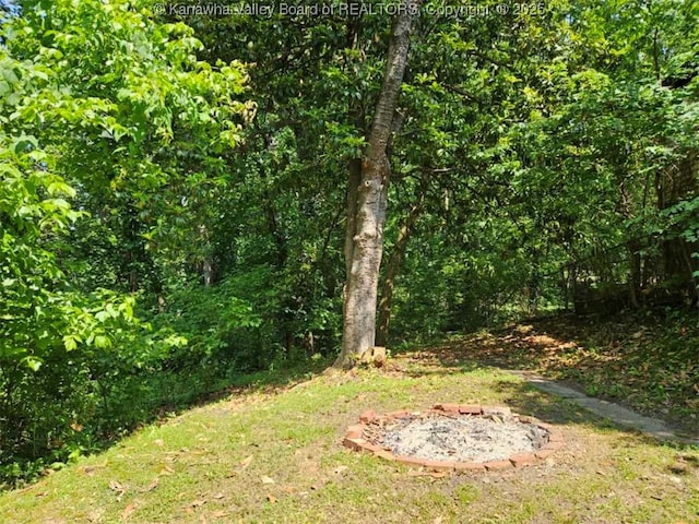 160 Davis St, Huntington, WV 25705 - view of yard featuring a wooded view