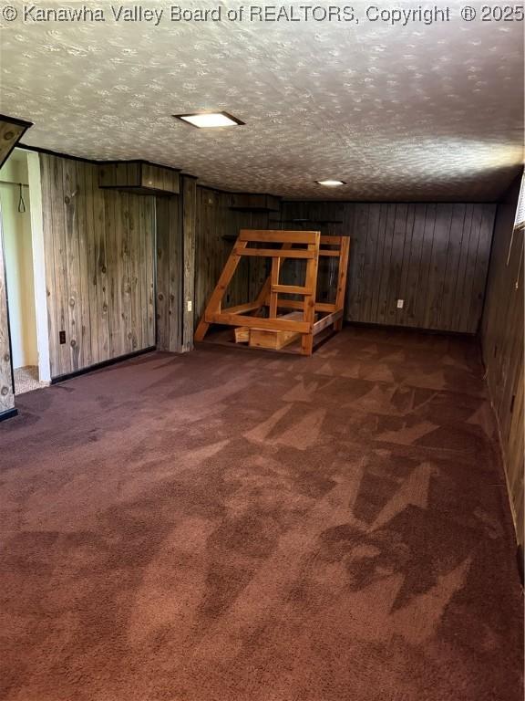 1123 Beech Ave, Charleston, WV 25312 - finished below grade area with carpet flooring, wood walls, and a textured ceiling