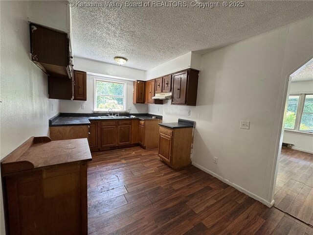 2608 Procious Maysel Rd, Wv, WV 25133 - kitchen featuring under cabinet range hood, dark wood-style floors, a sink, a textured ceiling, and baseboards