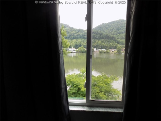 1004 E Riverview Dr, Belle, WV 25015 - water view