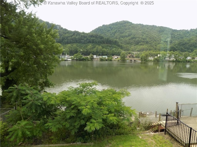 1004 E Riverview Dr, Belle, WV 25015 - water view with a forest and a mountainous background