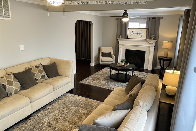 1004 E Riverview Dr, Belle, WV 25015 - living room featuring a ceiling fan, ornamental molding, wood finished floors, and a high end fireplace
