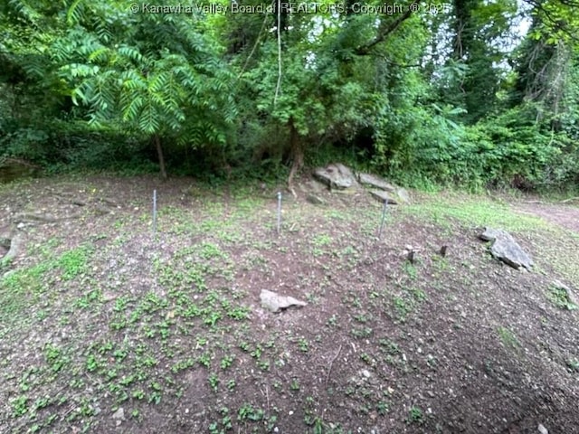 547 Garrison Ave, Charleston, WV 25302 - view of nature
