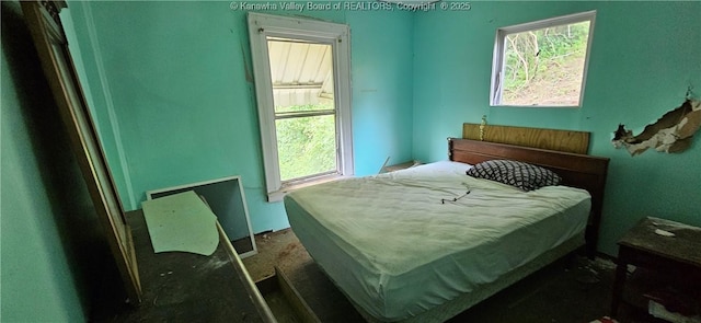 1214 Upper Vine St, Charleston, WV 25302 - bedroom featuring multiple windows