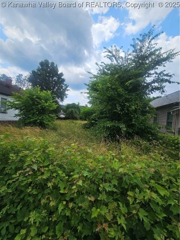 1527 2nd Ave, Charleston, WV 25387