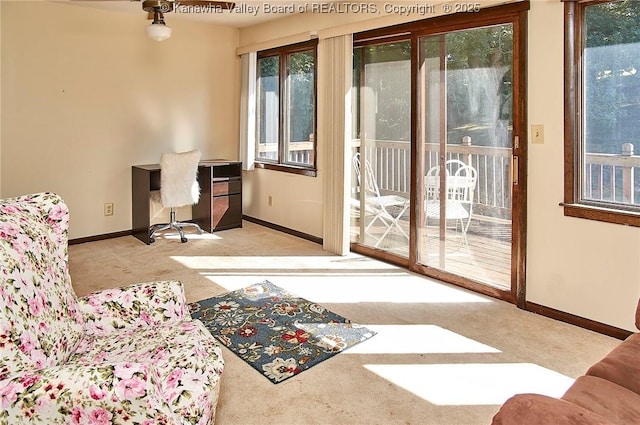 124 Morningside Dr, Elkview, WV 25071 - doorway featuring carpet flooring and healthy amount of natural light