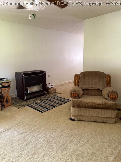 3202 Wallback Rd, Wallback, WV 25285 - living area with carpet