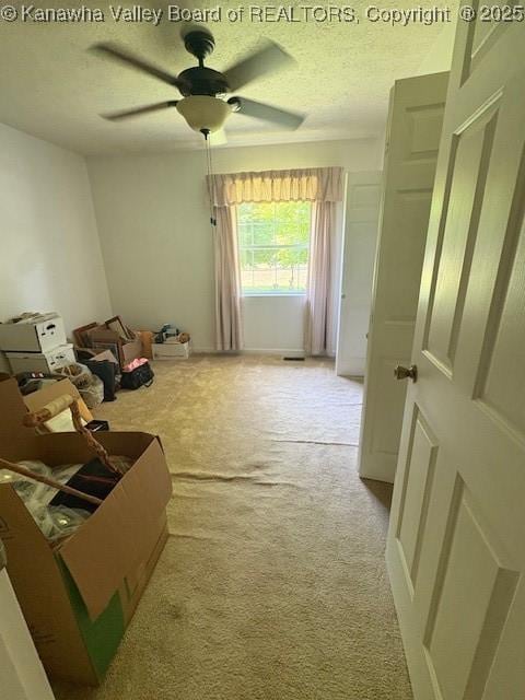 3202 Wallback Rd, Wallback, WV 25285 - unfurnished room with light carpet, ceiling fan, and a textured ceiling