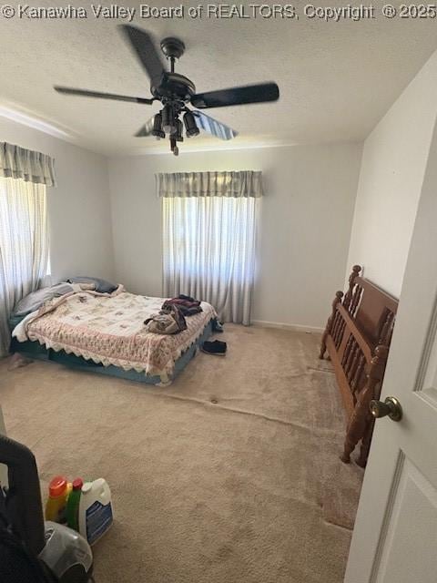 3202 Wallback Rd, Wallback, WV 25285 - bedroom with multiple windows, carpet floors, a textured ceiling, and a ceiling fan