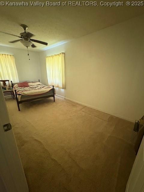 3202 Wallback Rd, Wallback, WV 25285 - carpeted bedroom featuring baseboards and ceiling fan