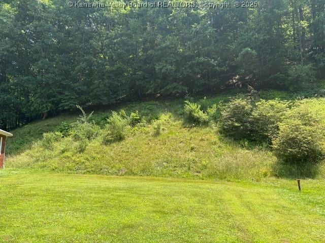 3202 Wallback Rd, Wallback, WV 25285 - view of yard