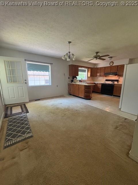 3202 Wallback Rd, Wallback, WV 25285 - unfurnished living room featuring a chandelier, healthy amount of natural light, ceiling fan, light carpet, and a textured ceiling