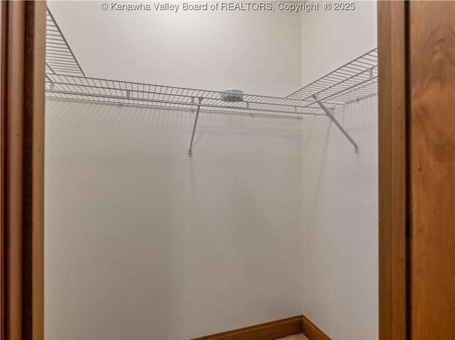 53 Wildrose Ln, Scott Depot, WV 25560 - view of spacious closet