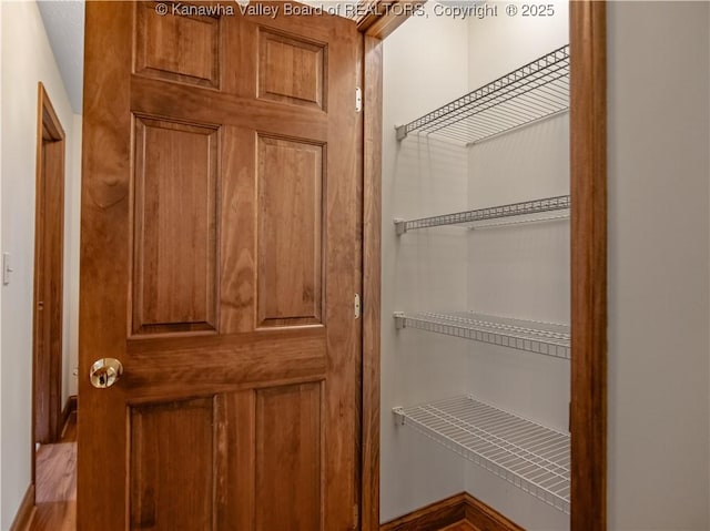 53 Wildrose Ln, Scott Depot, WV 25560 - view of pantry