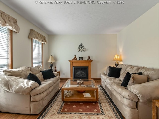 53 Wildrose Ln, Scott Depot, WV 25560 - living area with wood finished floors, a textured ceiling, and a fireplace
