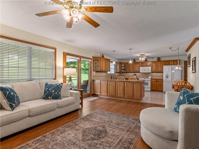 53 Wildrose Ln, Scott Depot, WV 25560 - living area featuring a ceiling fan, light wood-style floors, and a textured ceiling