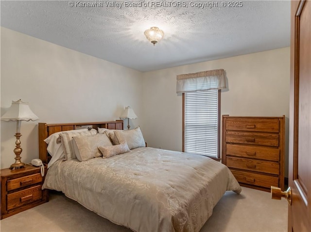 53 Wildrose Ln, Scott Depot, WV 25560 - bedroom with light carpet and a textured ceiling