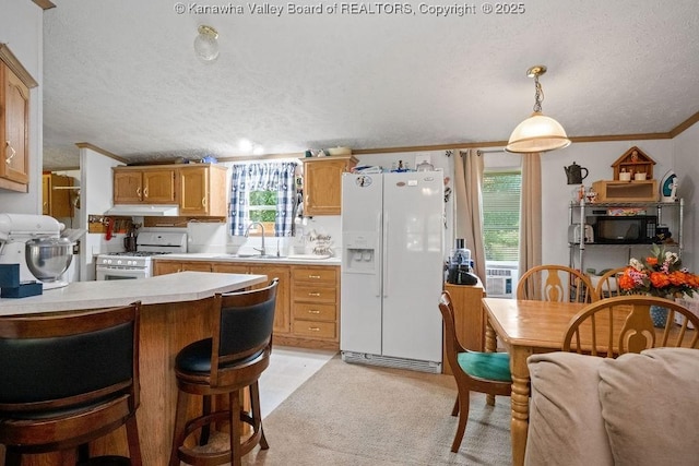 2873 Oak Hill Ridge Rd, Bomont, WV 25030 - kitchen with white appliances, light countertops, crown molding, under cabinet range hood, and a textured ceiling