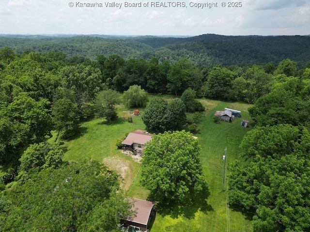 2873 Oak Hill Ridge Rd, Bomont, WV 25030 - aerial view of a forest
