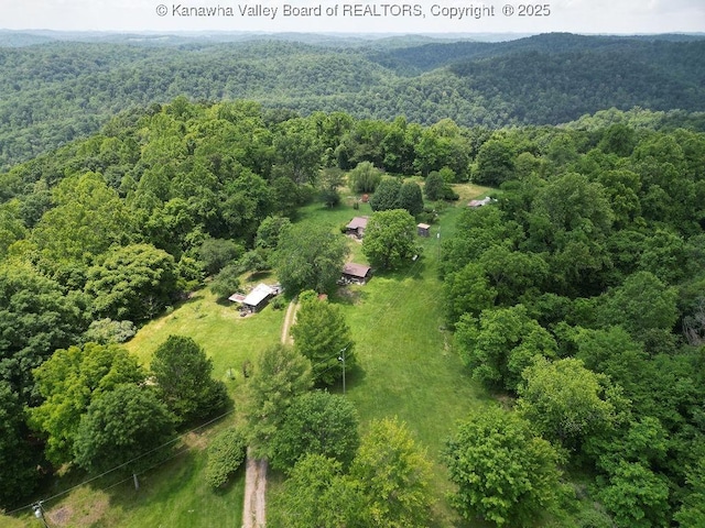 2873 Oak Hill Ridge Rd, Bomont, WV 25030 - bird's eye view of a heavily wooded area