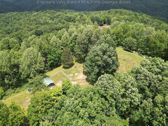 2873 Oak Hill Ridge Rd, Bomont, WV 25030 - aerial overview of property's location featuring a forest