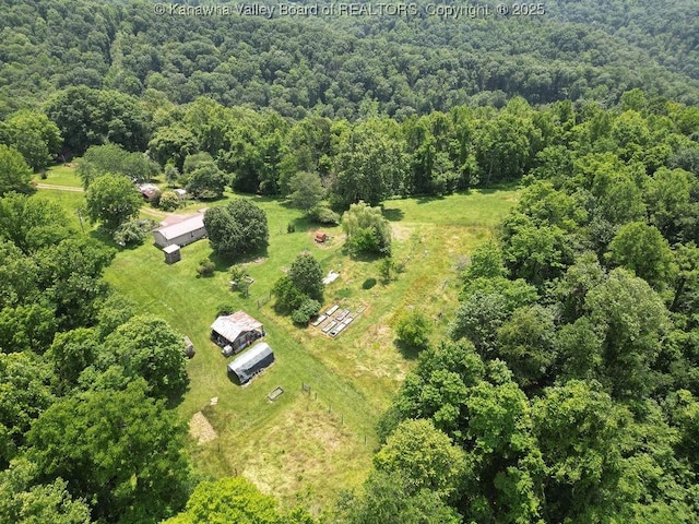 2873 Oak Hill Ridge Rd, Bomont, WV 25030 - aerial view of a forest
