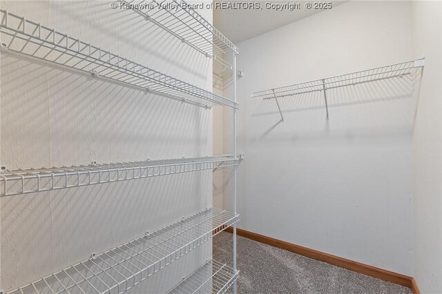 1571 Thistlewood Cir, Hurricane, WV 25526 - spacious closet with carpet
