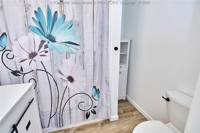 911 Dupont Ave, Nitro, WV 25143 - bathroom featuring wood finished floors, vanity, and a shower with shower curtain