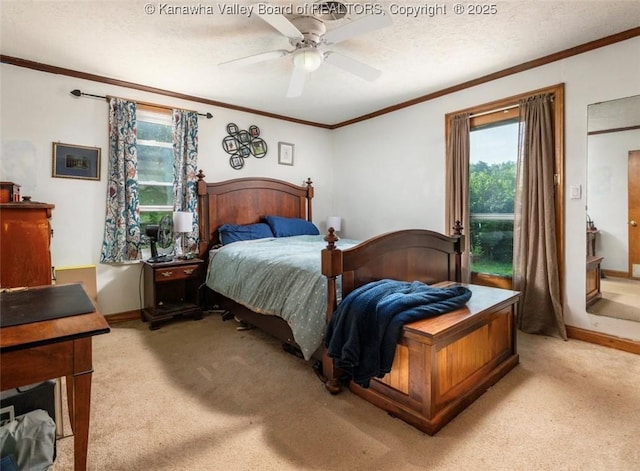 15 Eagle Flight Rd, Ripley, WV 25271 - bedroom featuring multiple windows, light carpet, crown molding, a ceiling fan, and a textured ceiling
