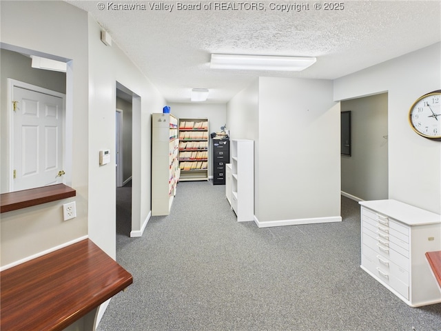 319 Main St, Clay, WV 25043 - corridor featuring carpet and a textured ceiling