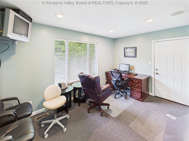 319 Main St, Clay, WV 25043 - office area featuring carpet floors, recessed lighting, and a textured ceiling