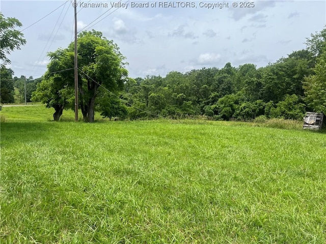 492 Lone Oak Rd, Cottageville, WV 25239 - photo 1