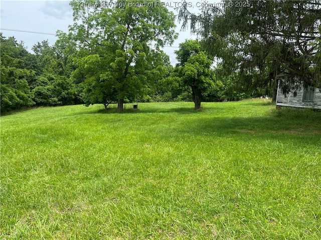 492 Lone Oak Rd, Cottageville, WV 25239 - photo 2