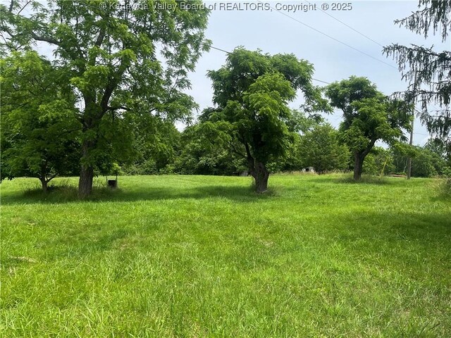 492 Lone Oak Rd, Cottageville, WV 25239 - photo 4
