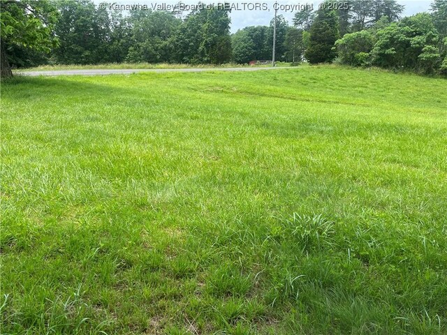 492 Lone Oak Rd, Cottageville, WV 25239 - photo 5