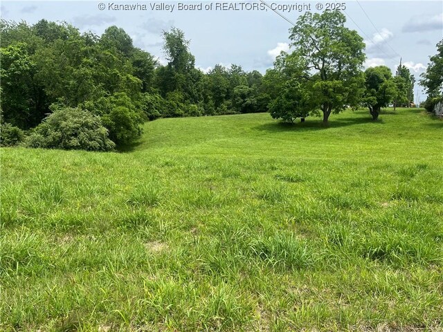 492 Lone Oak Rd, Cottageville, WV 25239 - photo 10