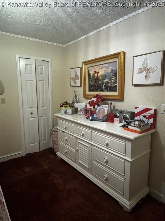 969 Airport Rd, Chapmanville, WV 25508 - hall with a textured ceiling and dark colored carpet