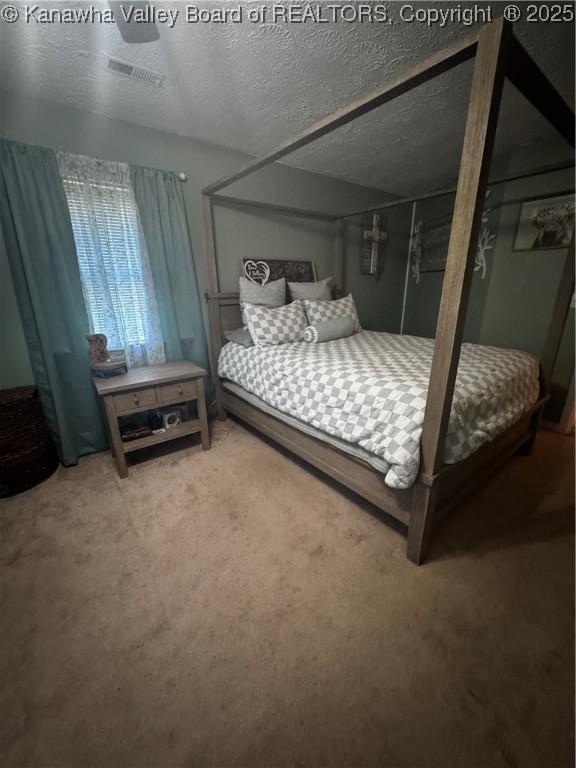 969 Airport Rd, Chapmanville, WV 25508 - bedroom with carpet floors and a textured ceiling