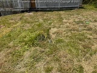 168 Harmon Rd, Charleston, WV 25314 - view of yard