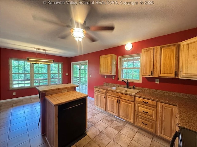 4136 Iva Durst Rd, Leon, WV 25123 - kitchen with a ceiling fan, plenty of natural light, a textured ceiling, black appliances, and light tile patterned flooring
